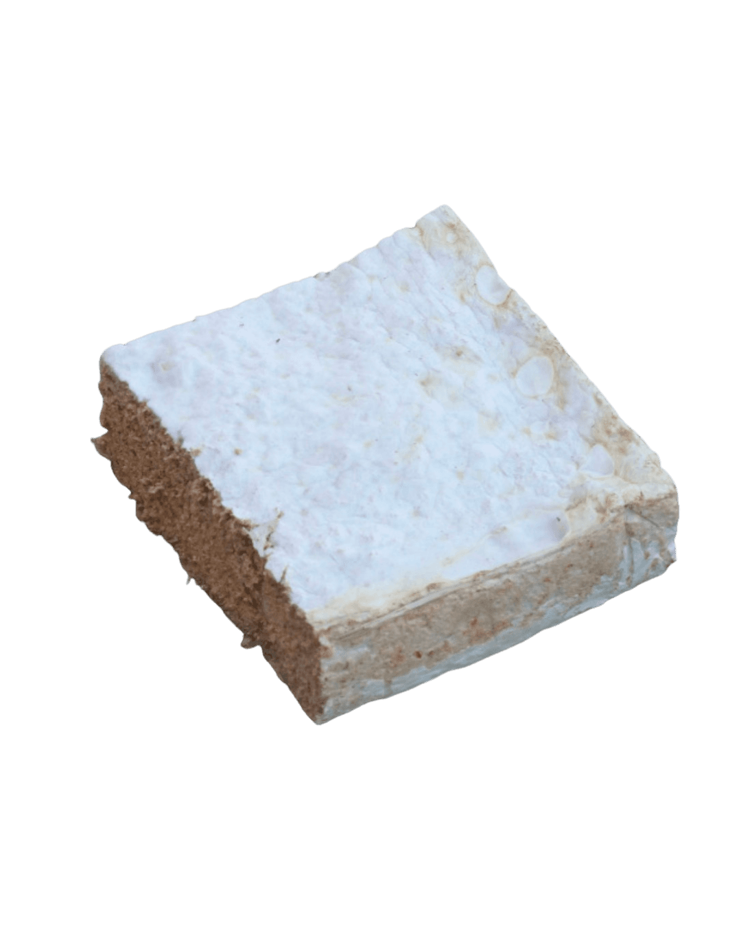 Mycofoam composite block