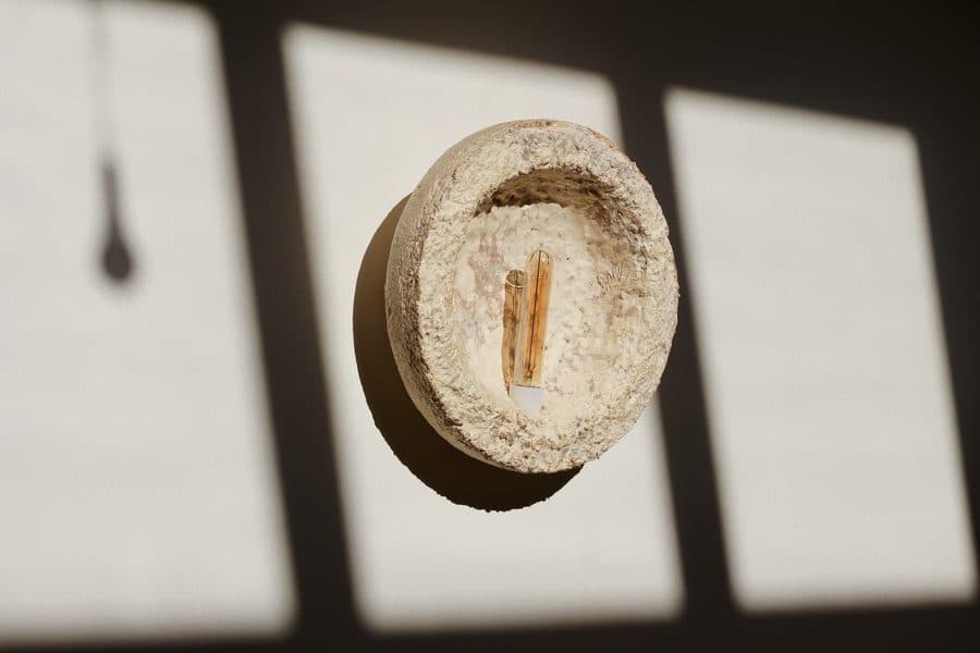Mycelium lamp — form study