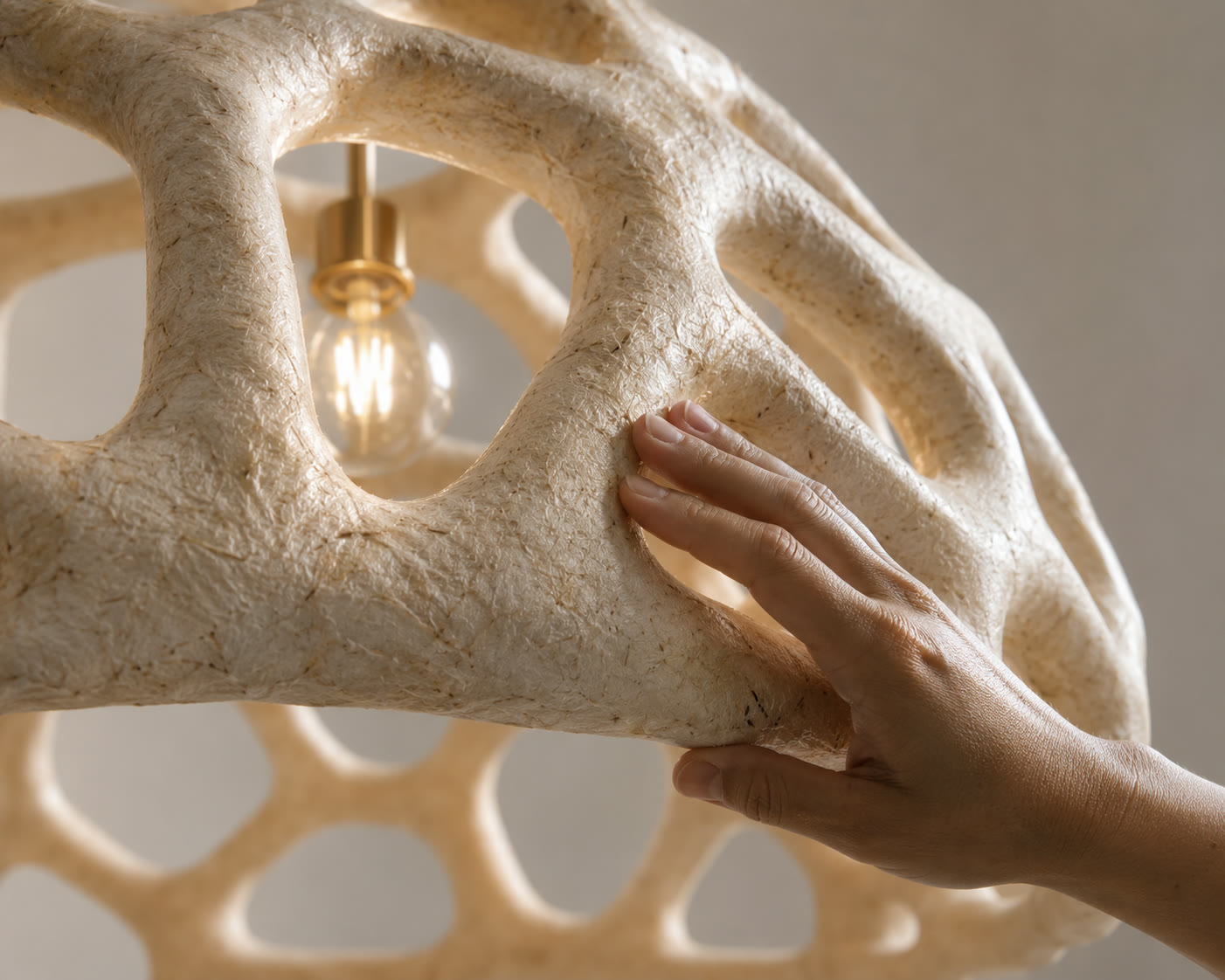 Close-up of Mushroomiya surface and touch
