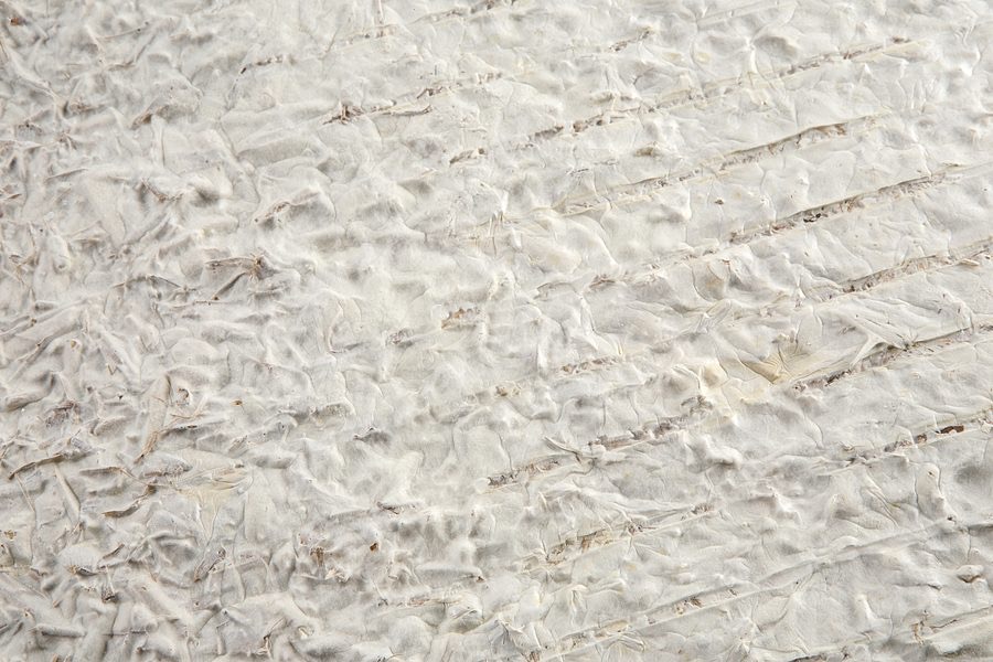 Concept render of mycelium biomanufacturing in an extreme environment