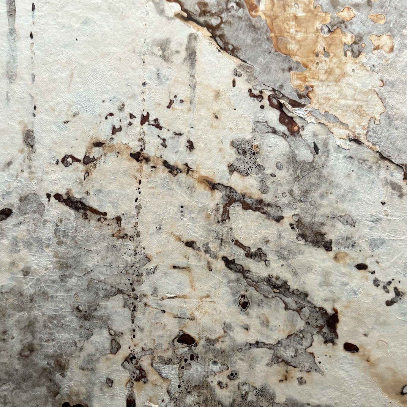 Grown veneer surface with dark linear veins through a pale ground