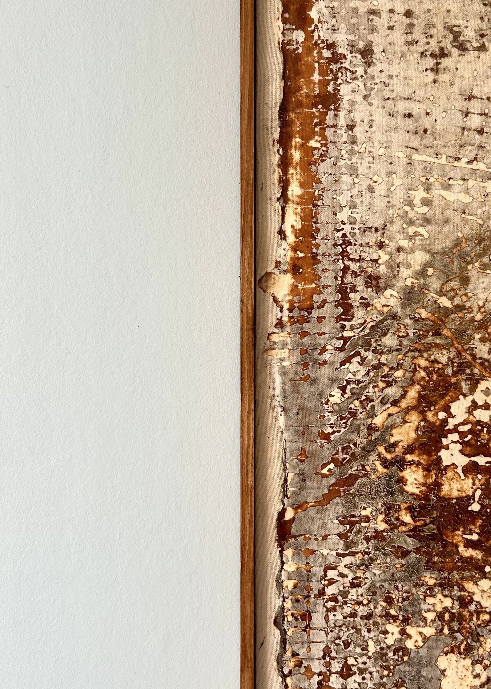 Edge of a framed Fungal Art Series work, showing the depth of the grown relief
