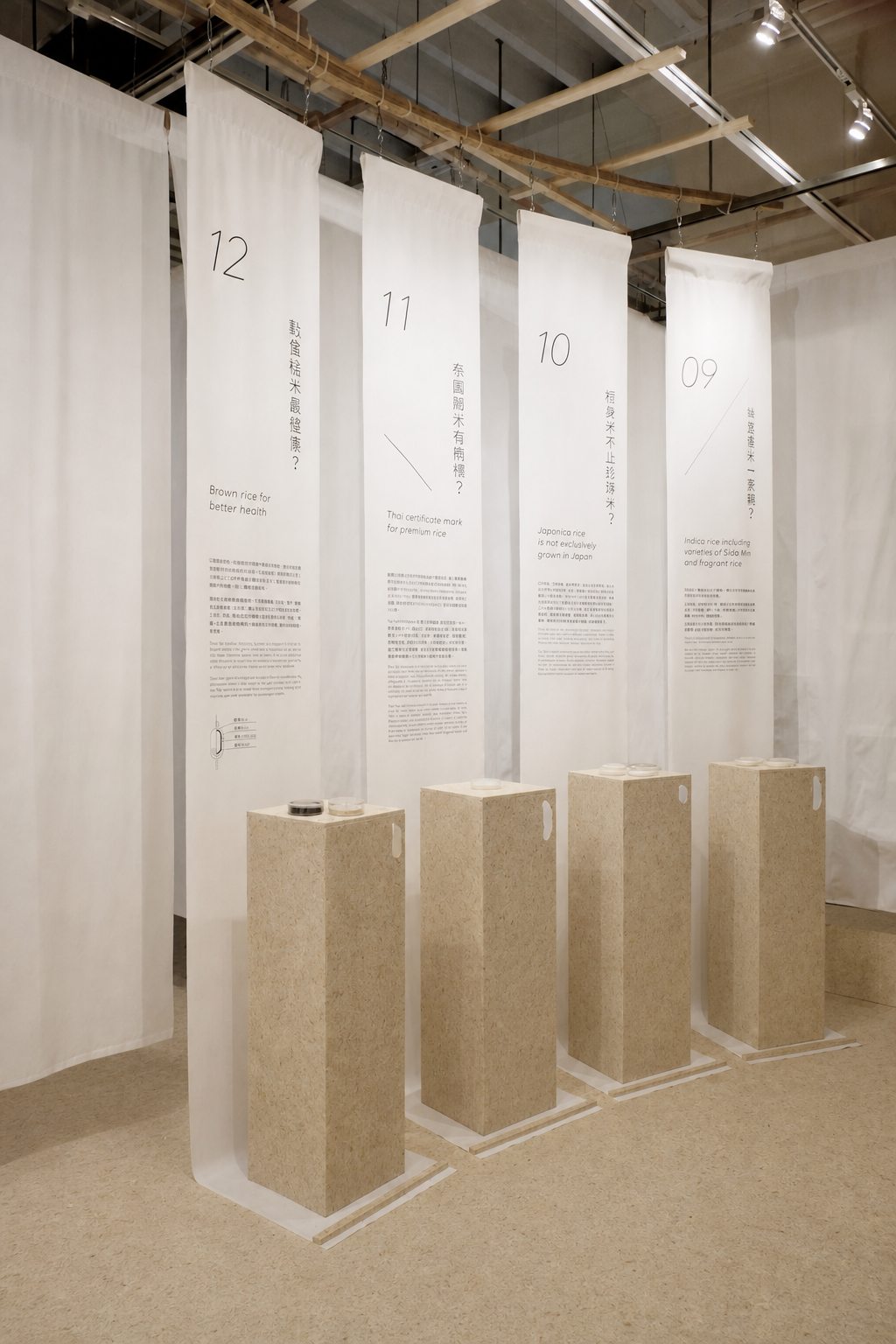 Grown display plinths for an exhibition