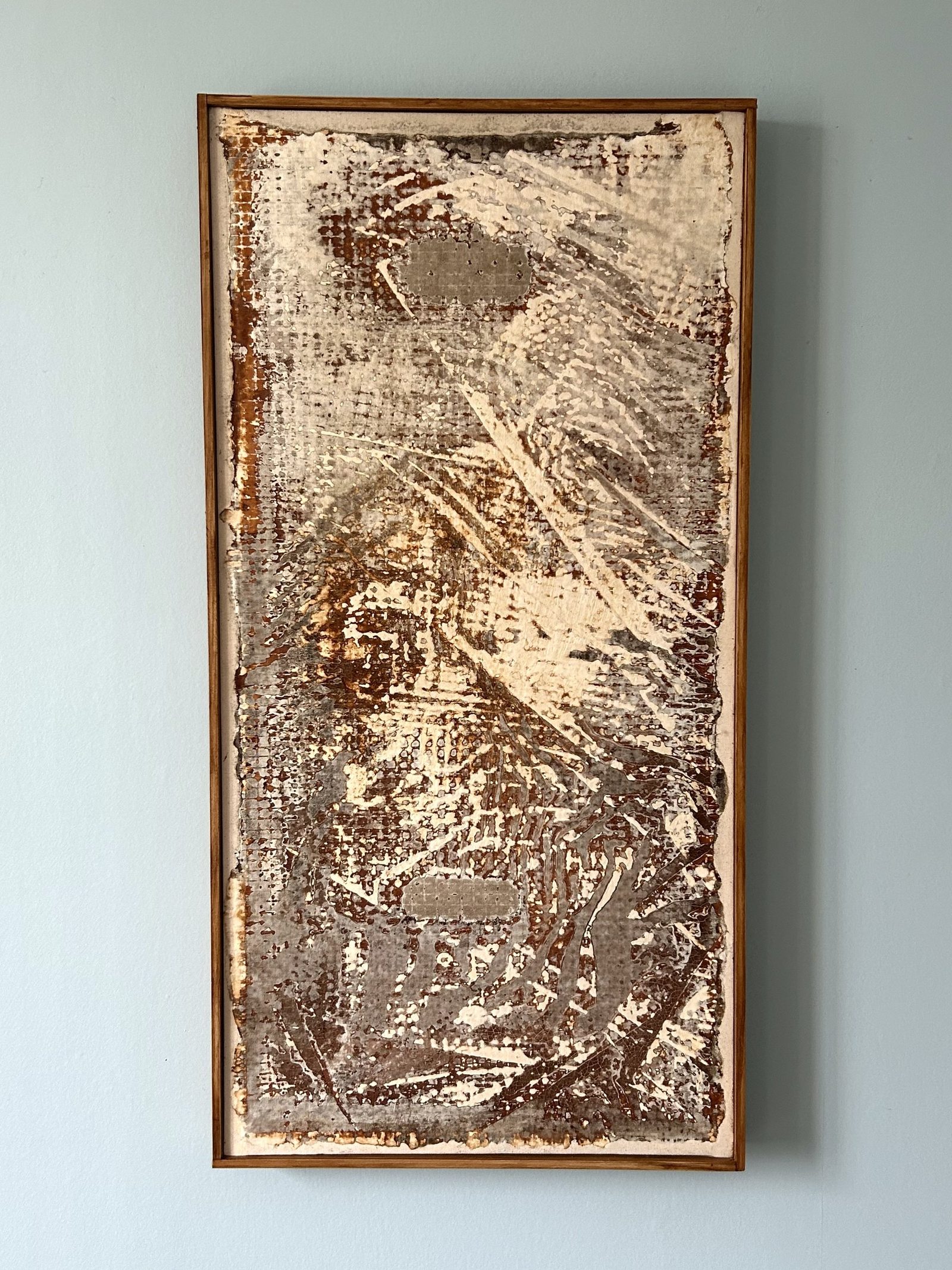 Fungal Art Series work in a copper frame, rust and cream grown relief on a pale blue wall