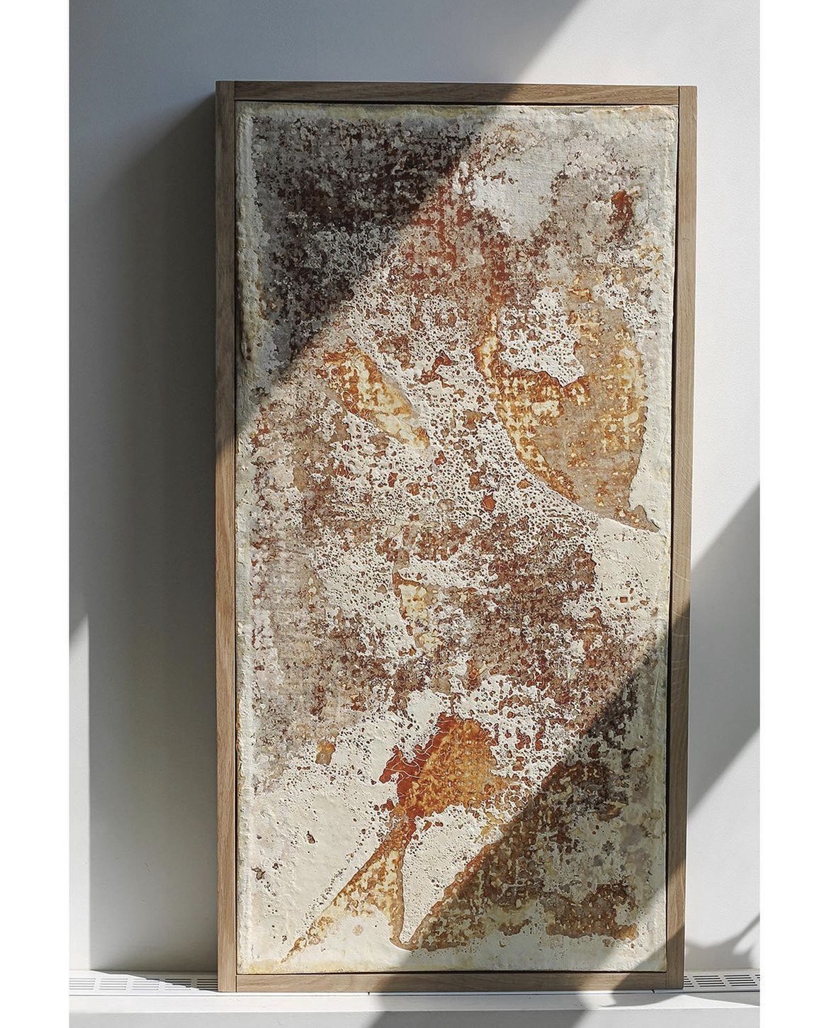 Fungal Art serie #1 in afternoon sun, rust shapes across a pale ground