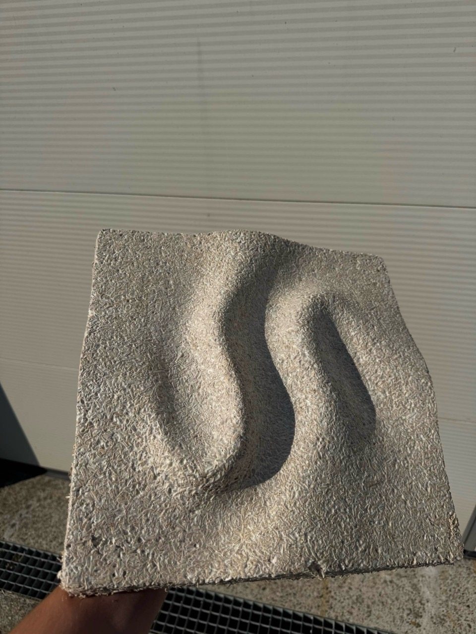 A FOLD panel prototype held in direct sunlight, showing the grown relief