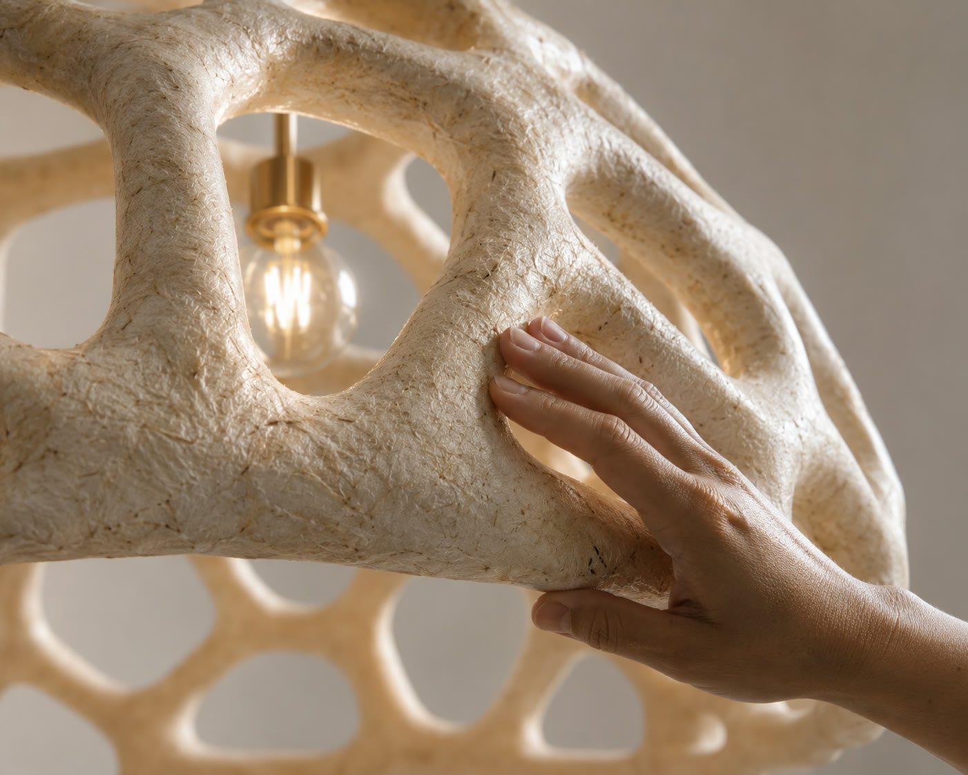 Close view of the grown Mushroomiya lattice around the bulb