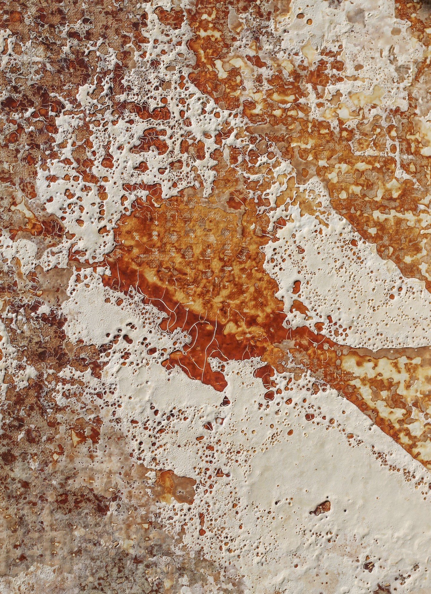 Close view of a grown surface: an orange bloom spreading through cream and rust